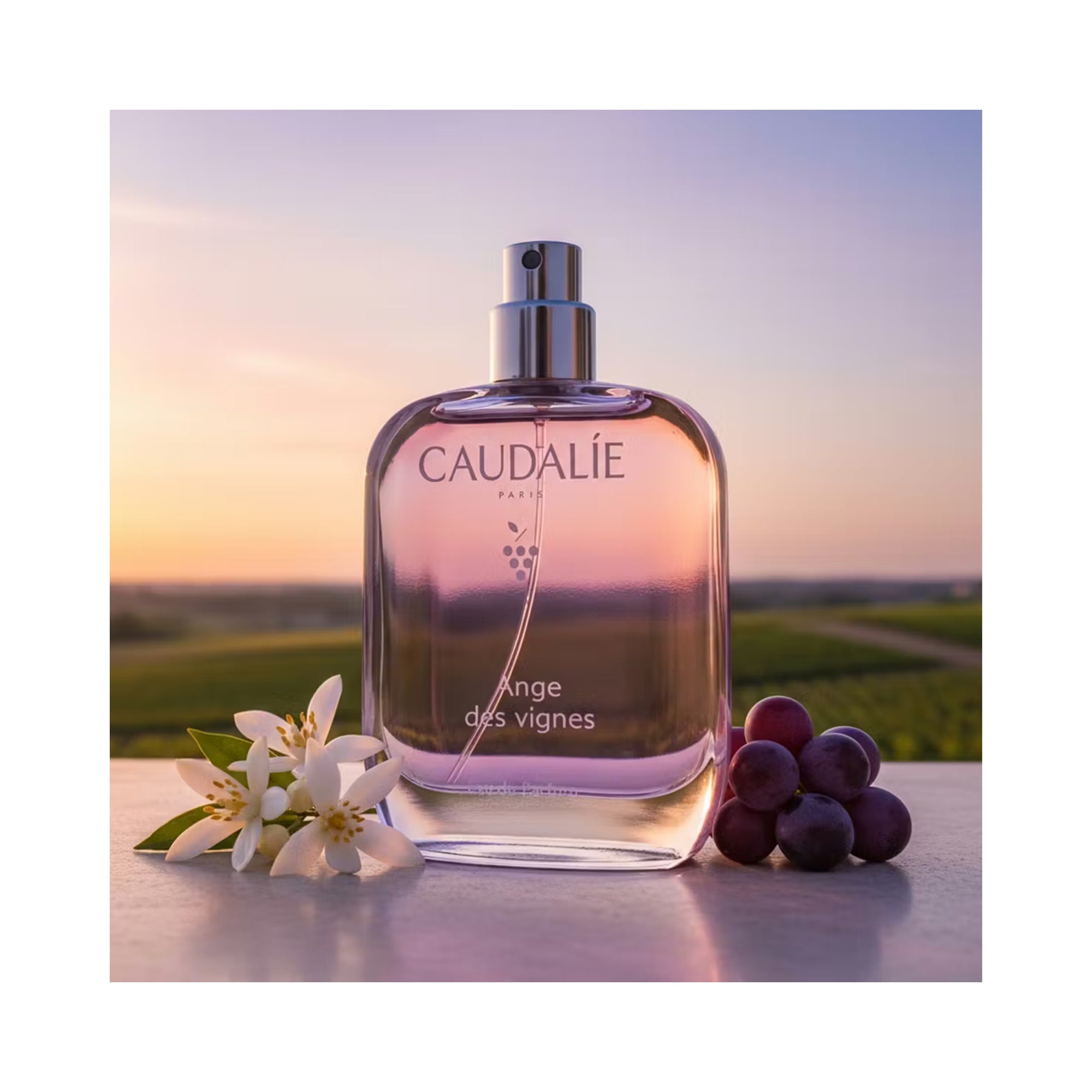 Caudalie Ange des Vignes Light Fragrance / 1.6OZ