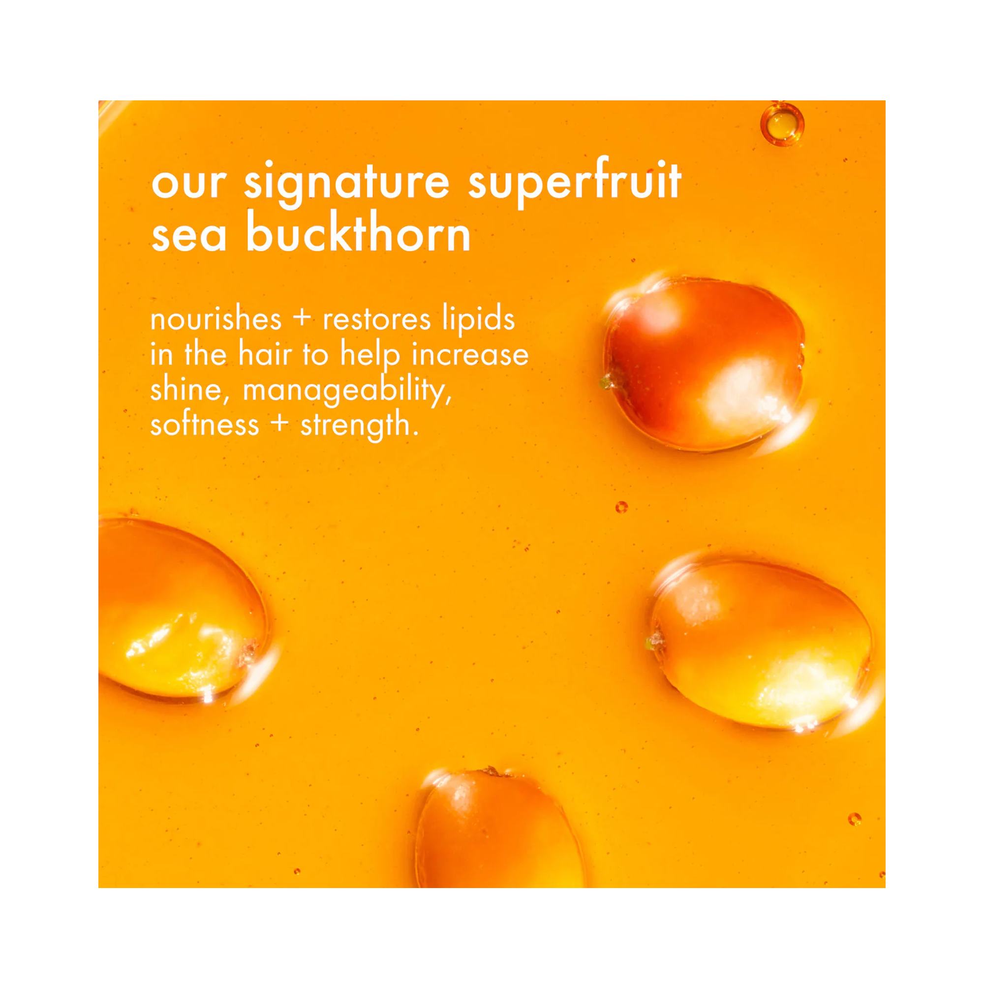 Amika Soft Strand Manifestation-HOL25