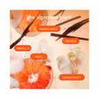 Amika_Superfruit_Star_Oil / 1.7OZ