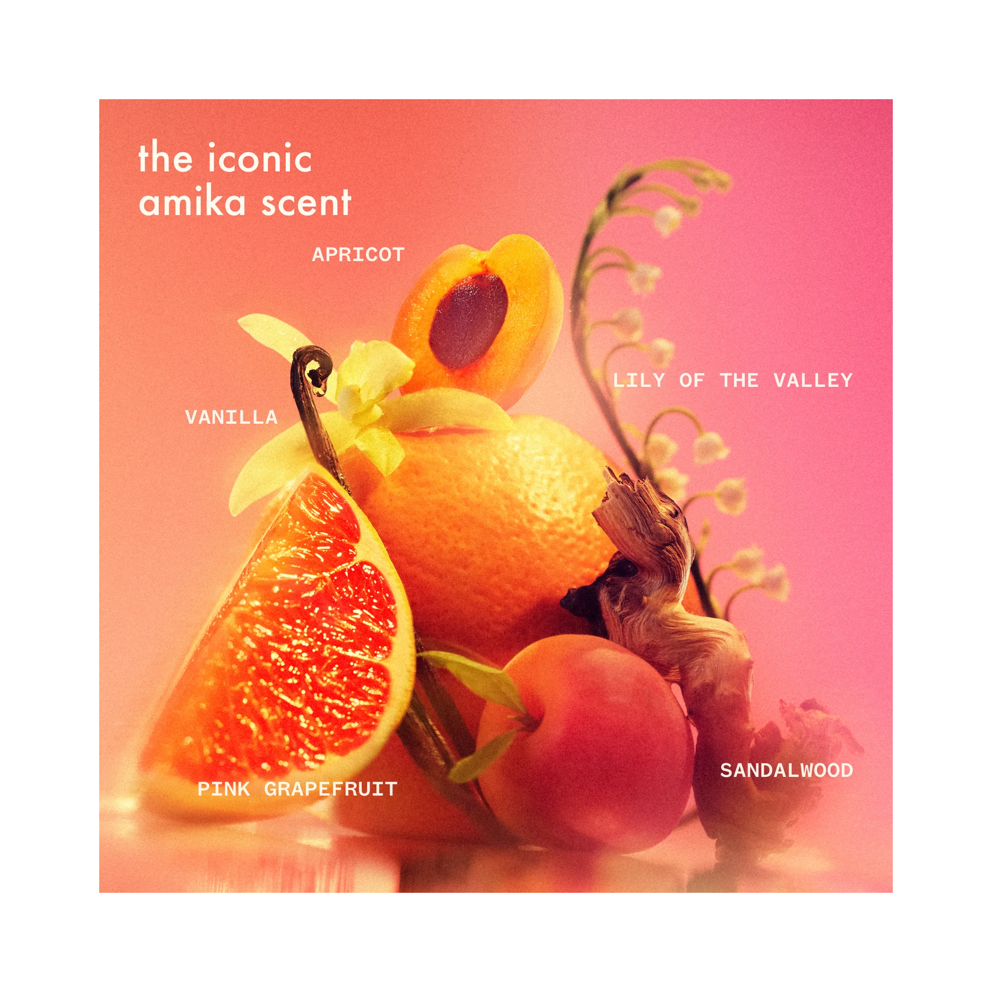 Amika Positively Perked Up Kit-HOL25