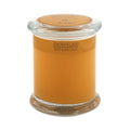 Archipelago Excursion Jar Candle 8.6oz - Dubai / 8.6oz