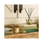 Thymes Frasier Fir Pine Needle Large Reed Diffuser 7.75oz/ 7.7OZ