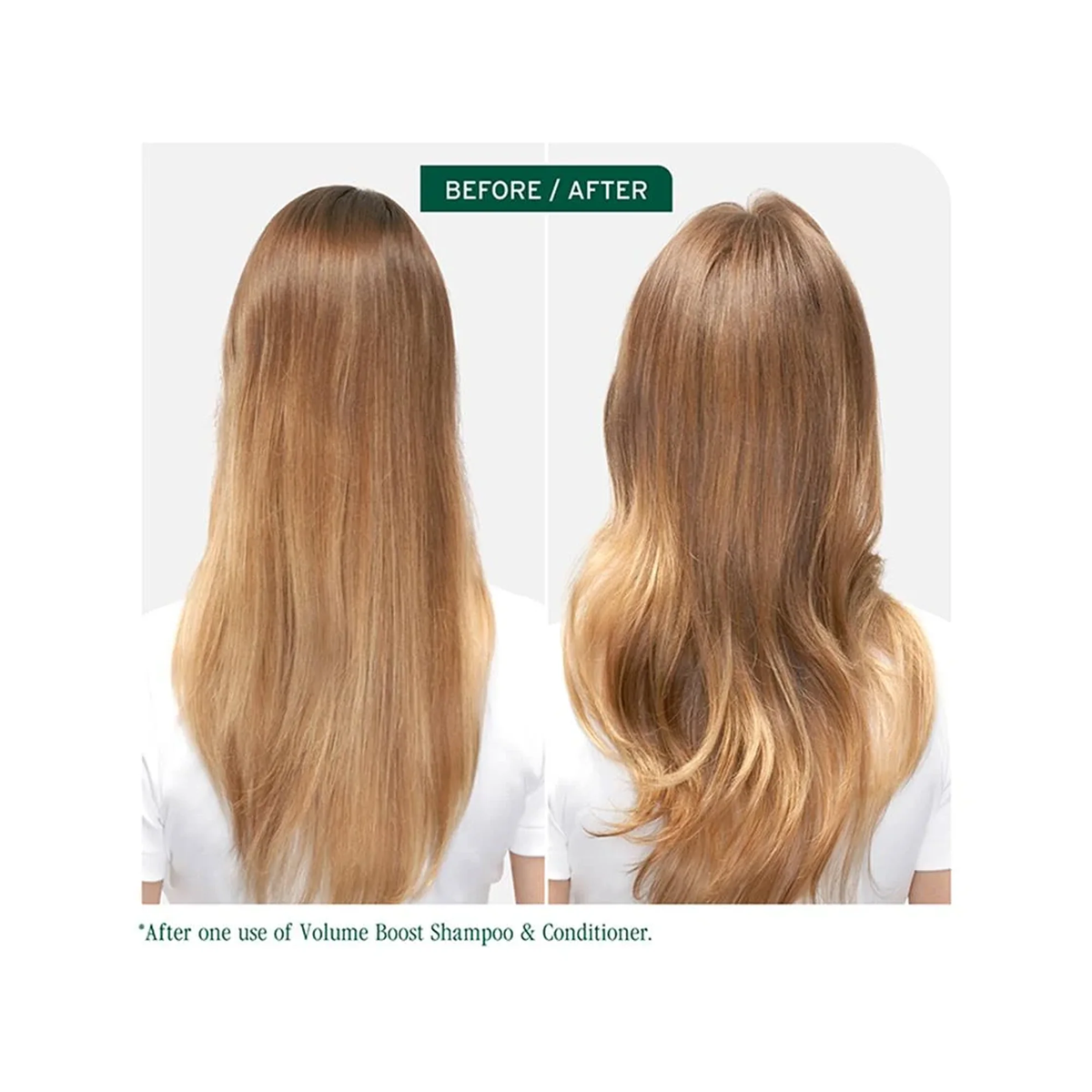 Biolage_Volume_Boost_Shampoo_Conditioner_Liter_Duo / DUO