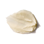 Borghese Rinfrescante Sugar Body Polish / 8 OZ