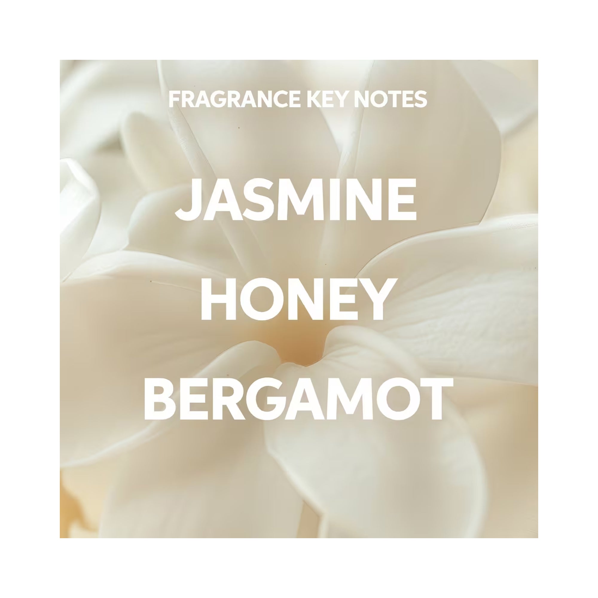 Wella Invigo Brilliance Conditioner - Coarse Colored Hair / 8 OZ