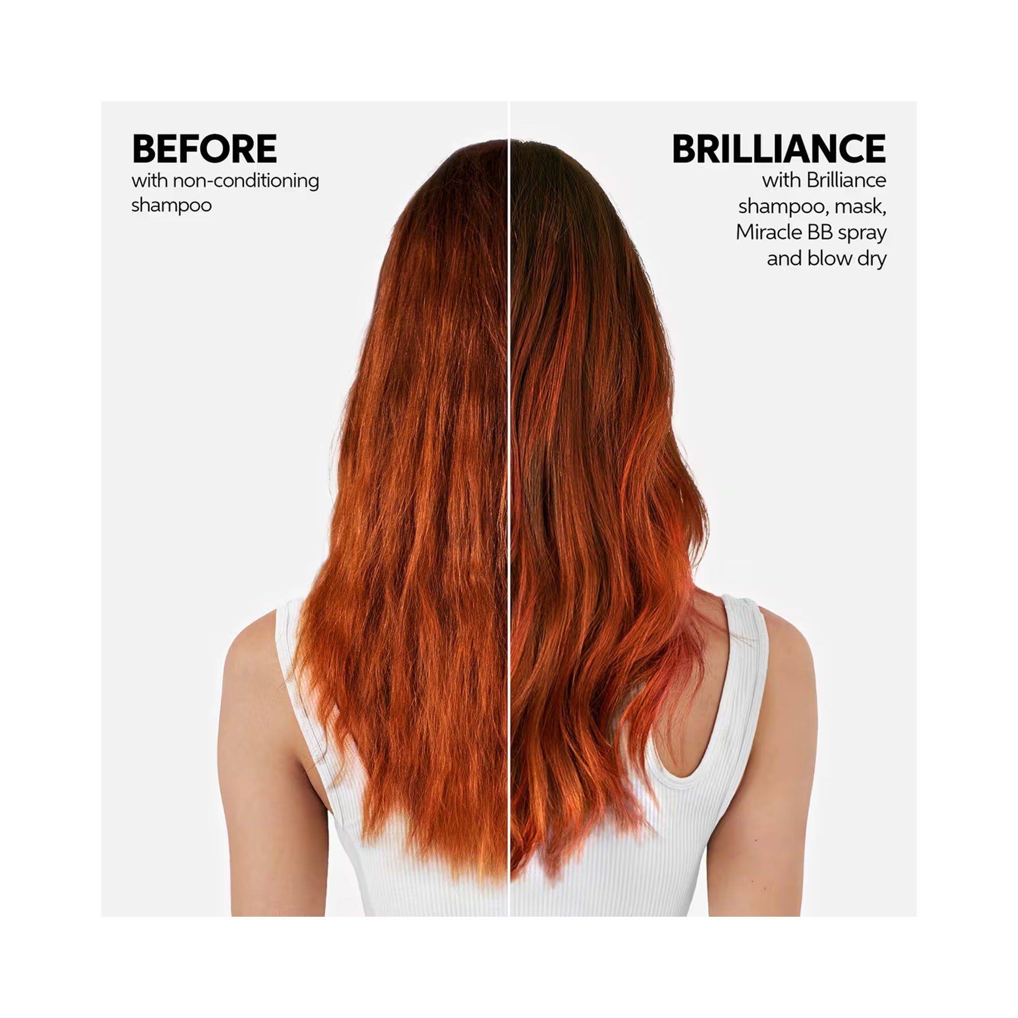 Wella Invigo Brilliance Shampoo and Conditioner - Normal Colored Hair Liter Duo ($76.80 Value) / 33.OZ