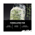 Bumble and bumble Seaweed Oil Control Shampoo / 8.5OZ