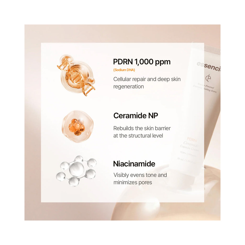A product information graphic forEssenciel PDRN Ceramide Capsule Cream, featuring three key ingredients: PDRN 1,000 ppm (Sodium DNA) for cellular repair, Ceramide NP for the skin barrier, and Niacinamide for tone and pore minimization.  thumbnail 3