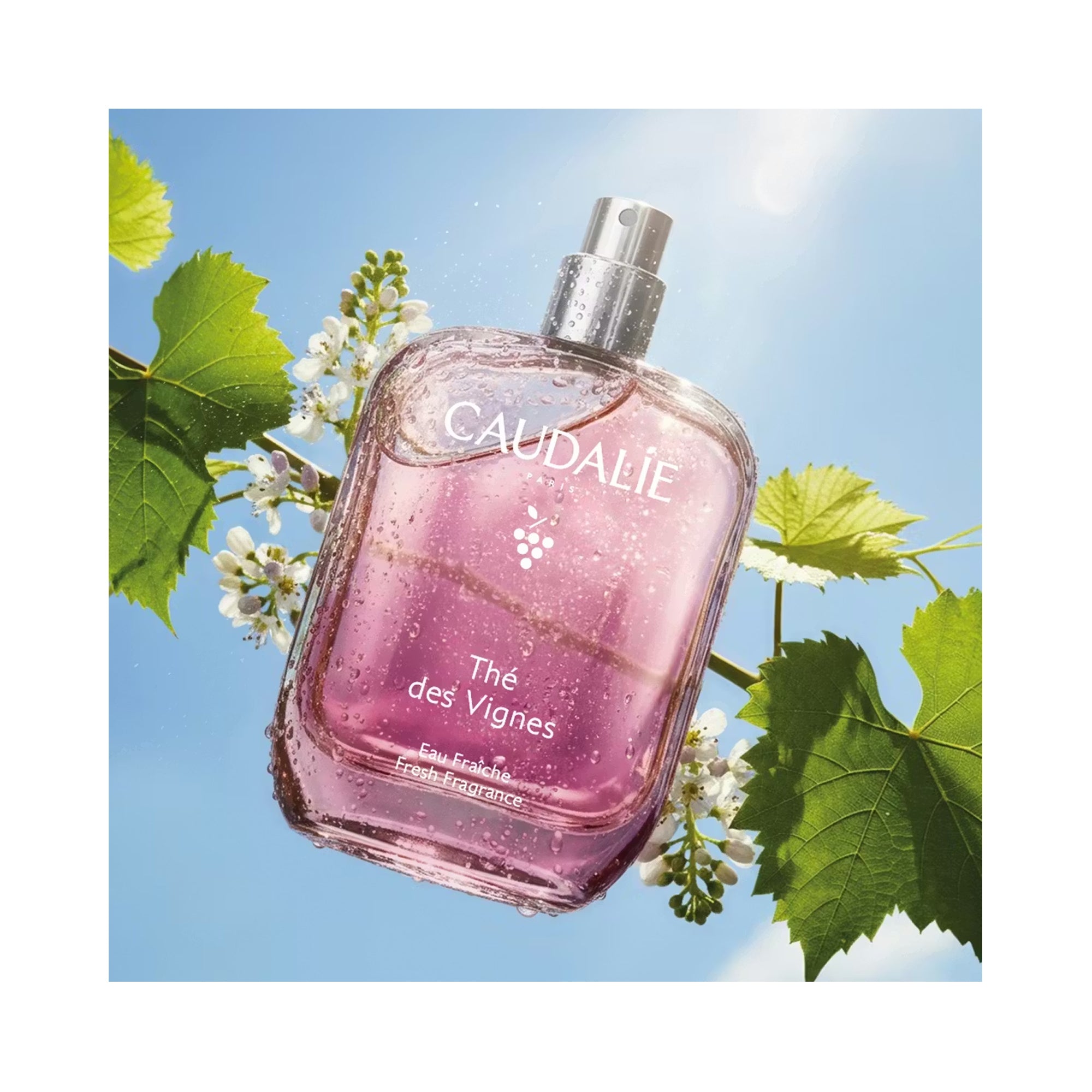 Caudalie Thé des Vignes Fragrance / 1.6OZ