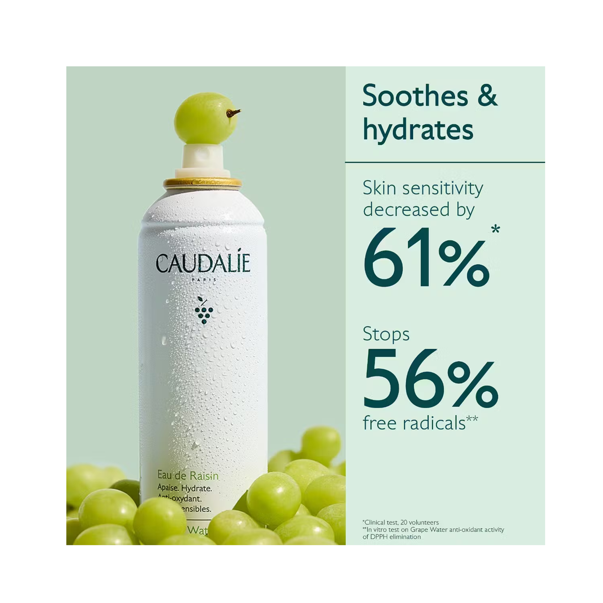 Caudalie_Vinoclean_Organic_Grape_Water_Moisturizing_Face_Mist / 2.7OZ, image 29490834309270