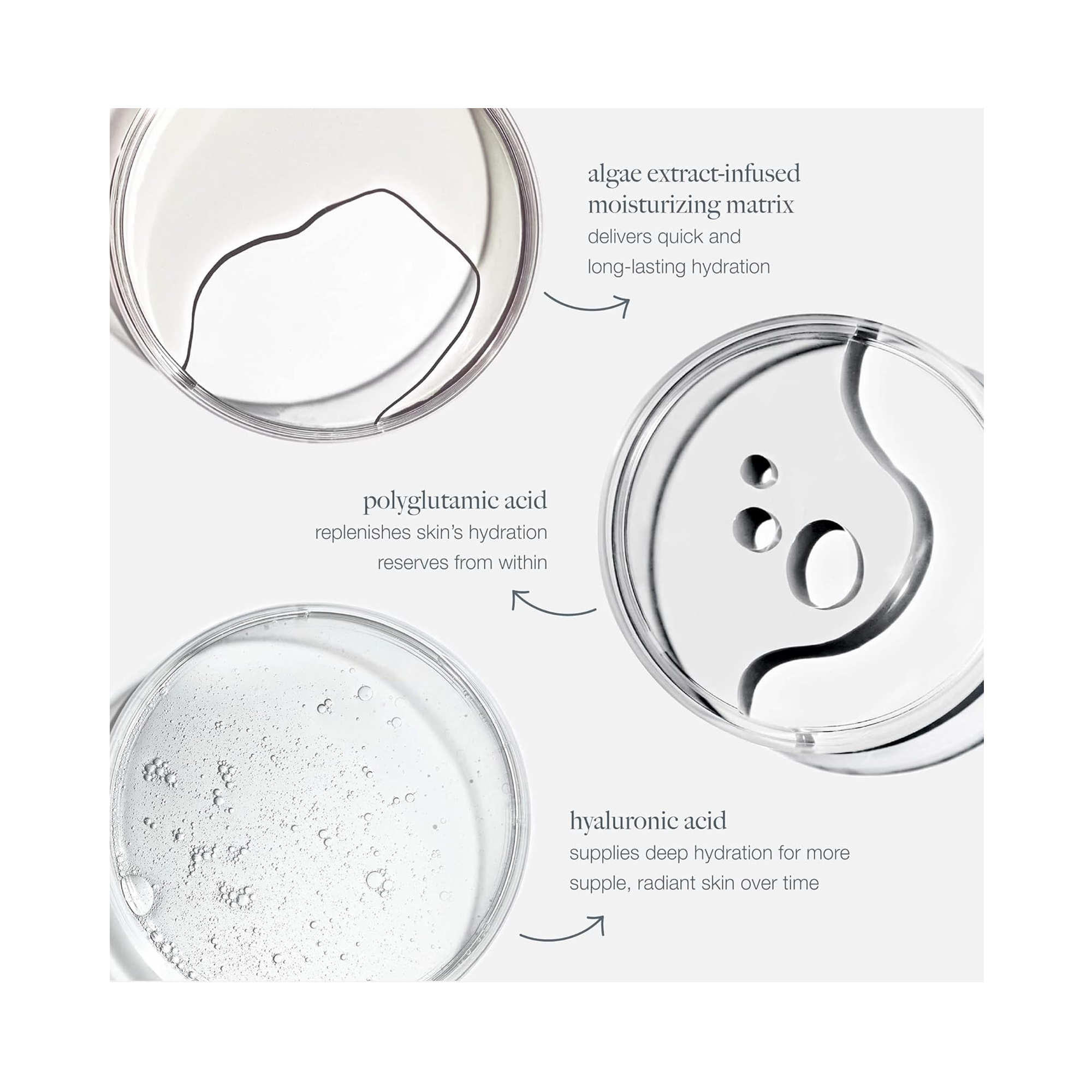 Dermalogica_Circular_Hydration_Serum_1oz / 1 OZ