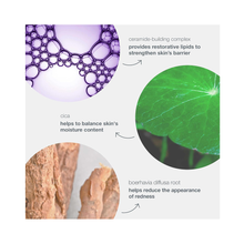 Dermalogica_Stabilizing_Repair_Cream / 3.4OZ