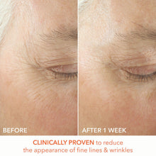 Dr. Dennis Gross Alpha Beta Ultra Gentle Daily Peel - 30 Applications / 30 PK