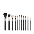 Sigma Essential Brush Set ($340 Value) / 12PC