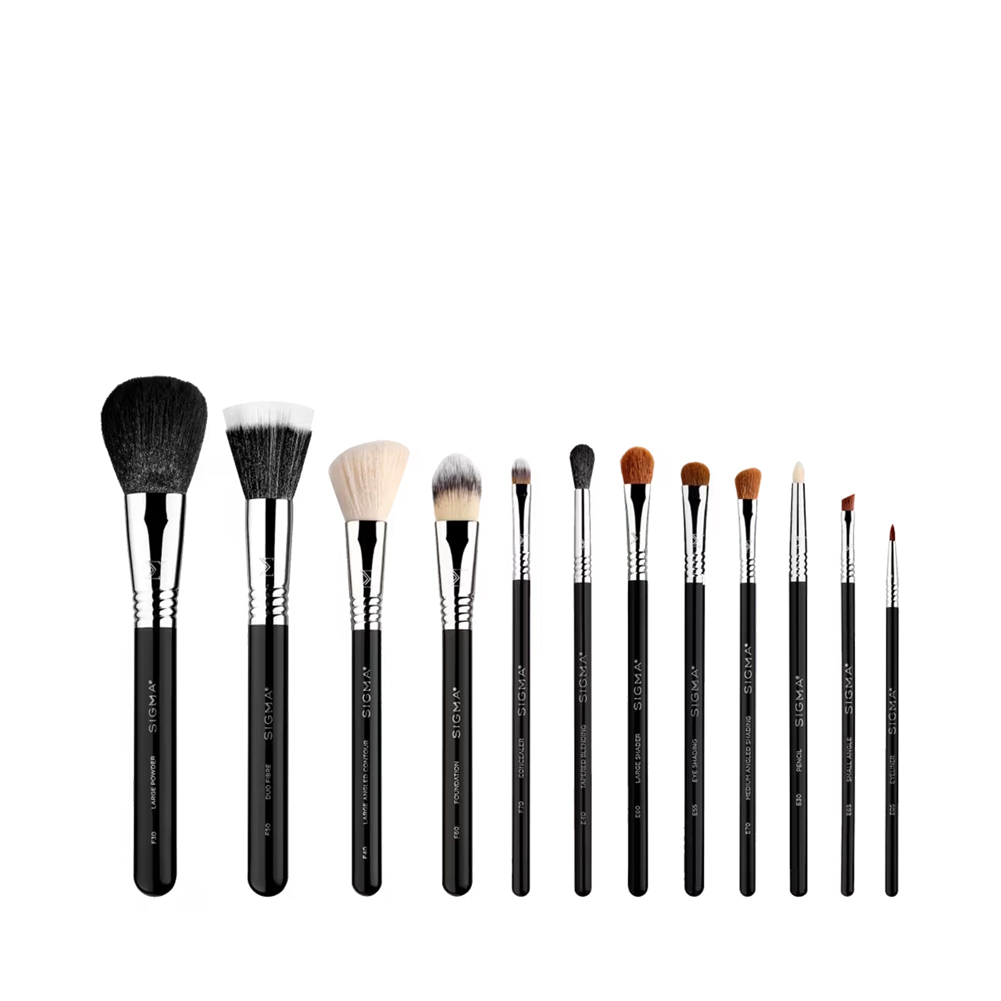 Sigma Essential Brush Set ($340 Value) / 12PC