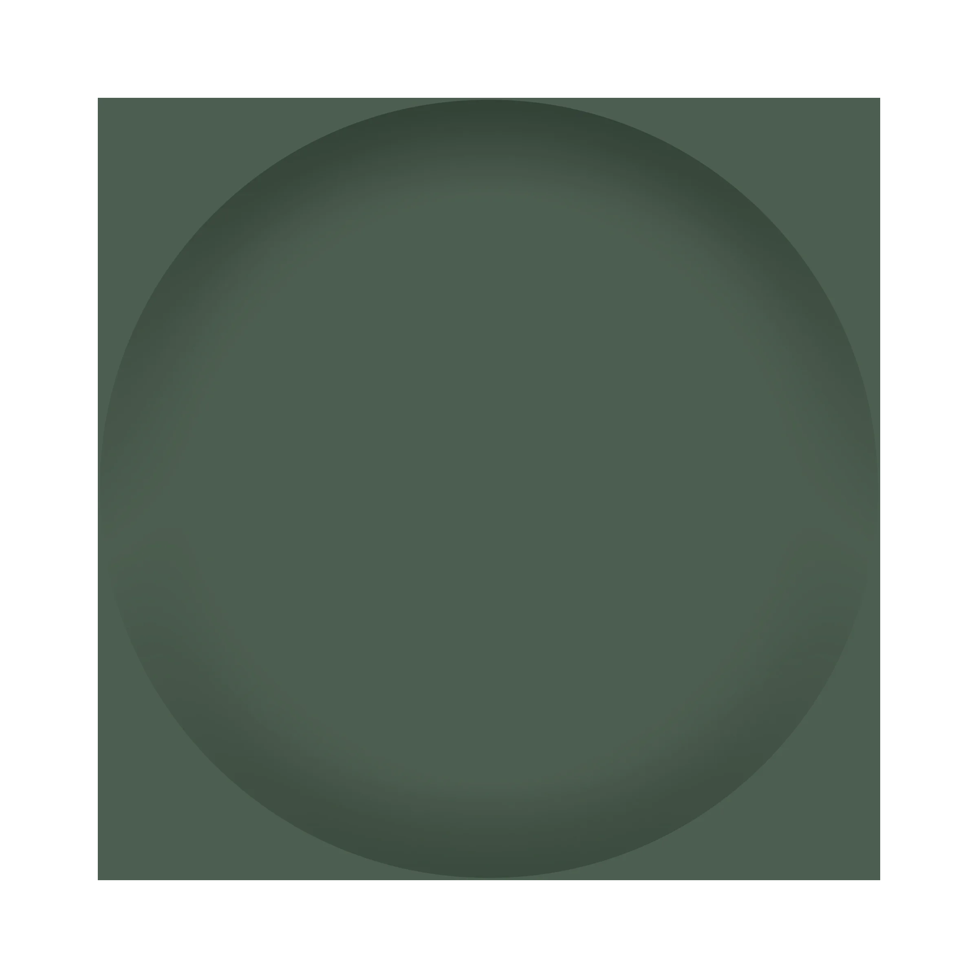 LUNA London COMPACT 2.0 7X 1X Magnifying LED Compact Mirror / FOREST GREEN / swatch