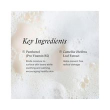 SkinMedica Facial Cleanser / 6OZ