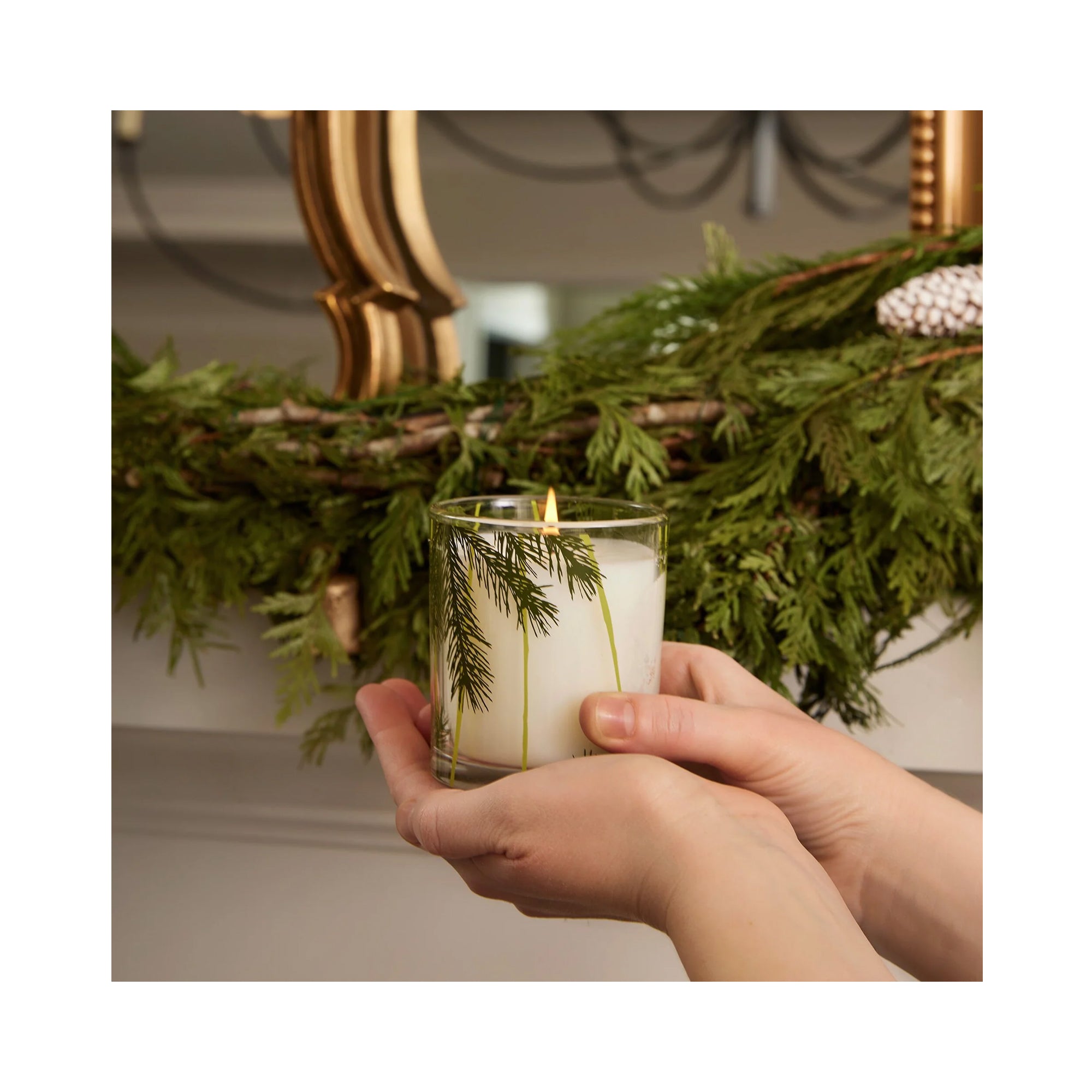 Thymes Frasier Fir Pine Needle Candle / 6.5OZ