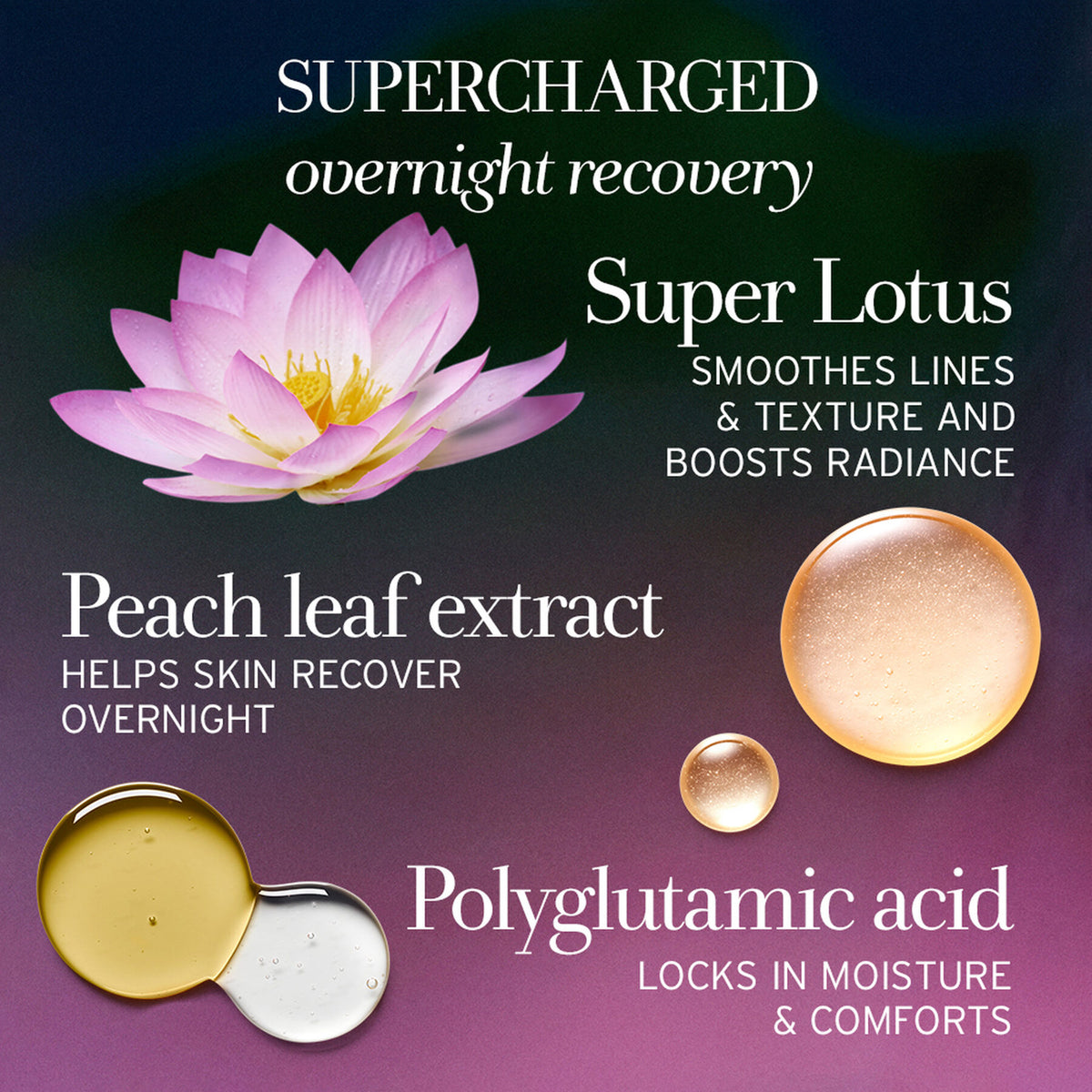 Fresh Lotus Youth Preserve Dream Face Cream 1.7oz / 1.7OZ, image 27969505427606