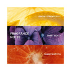 Verb Ghost Shampoo & Conditioner 12oz Duo / DUO