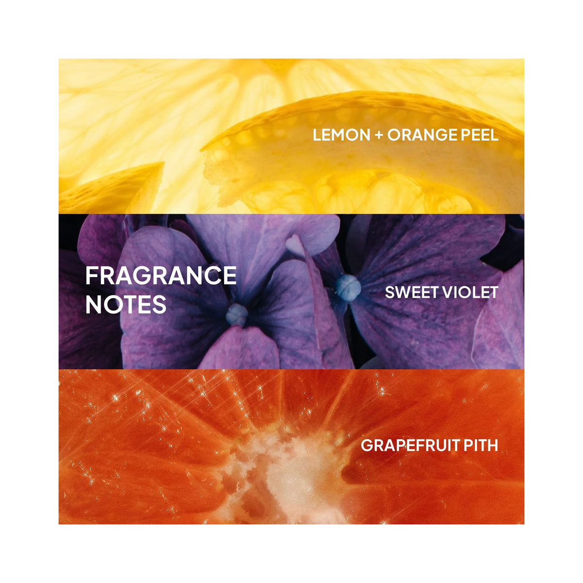 Verb Ghost Shampoo & Conditioner 12oz Duo / DUO, image 32604847112342