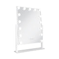 Zadro 15 Led Light Bulb Vertical Hollywood Makeup Mirror 18" x 21" / White