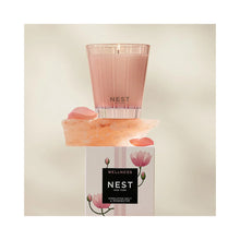 Nest Himalayan Salt & Rosewater Classic Candle / 8.1OZ