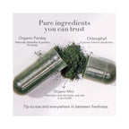 It Just Works Fresh-Deodorizing Supplement / 30CT