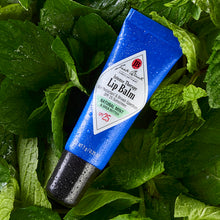 Jack Black Lip Balm Trio / 3PC