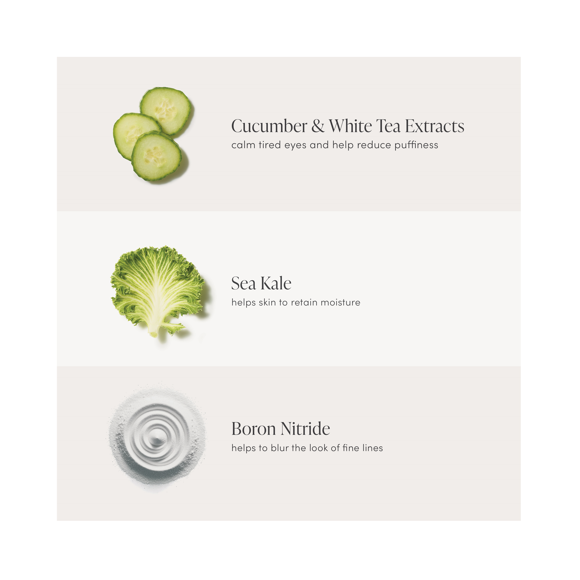 Jane Iredale Active Light Under-Eye Concealer / 6