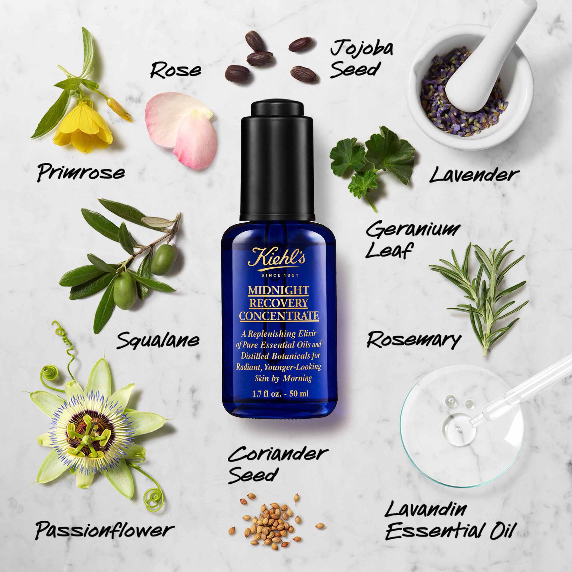 Kiehl's Midnight Recovery Face Oil / 1.7OZ