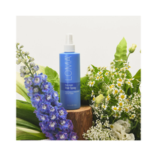 LOMA_Firm_Hold_Hairspray_8OZ / 8OZ