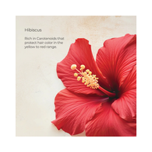 Lanza Healing ColorCare Shampoo & Conditioner Liter Duo / 32OZ