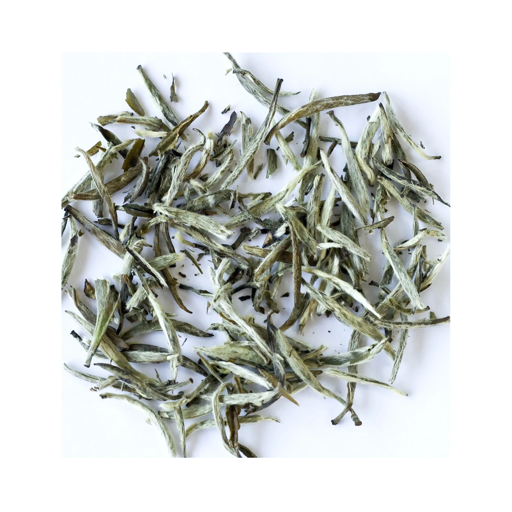 Lanza Healing Strength Shampoo 32OZ / 32OZ