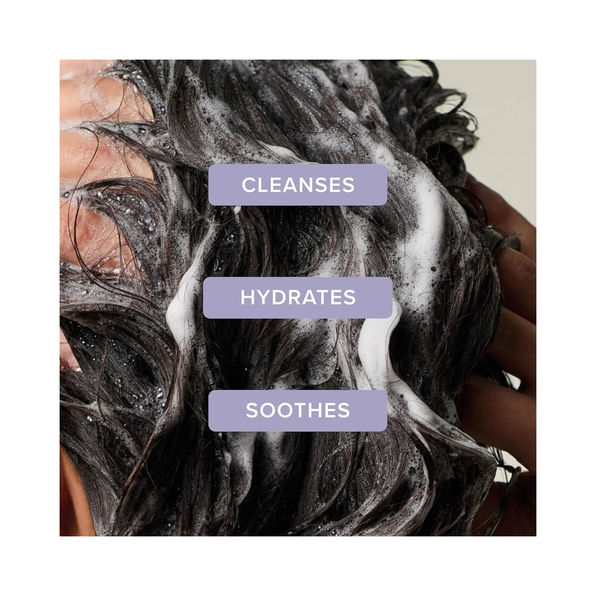 Close-up of dark, hair being washed with  text reading 'CLEANSES', 'HYDRATES', and 'SOOTHES'., image 46270037885078