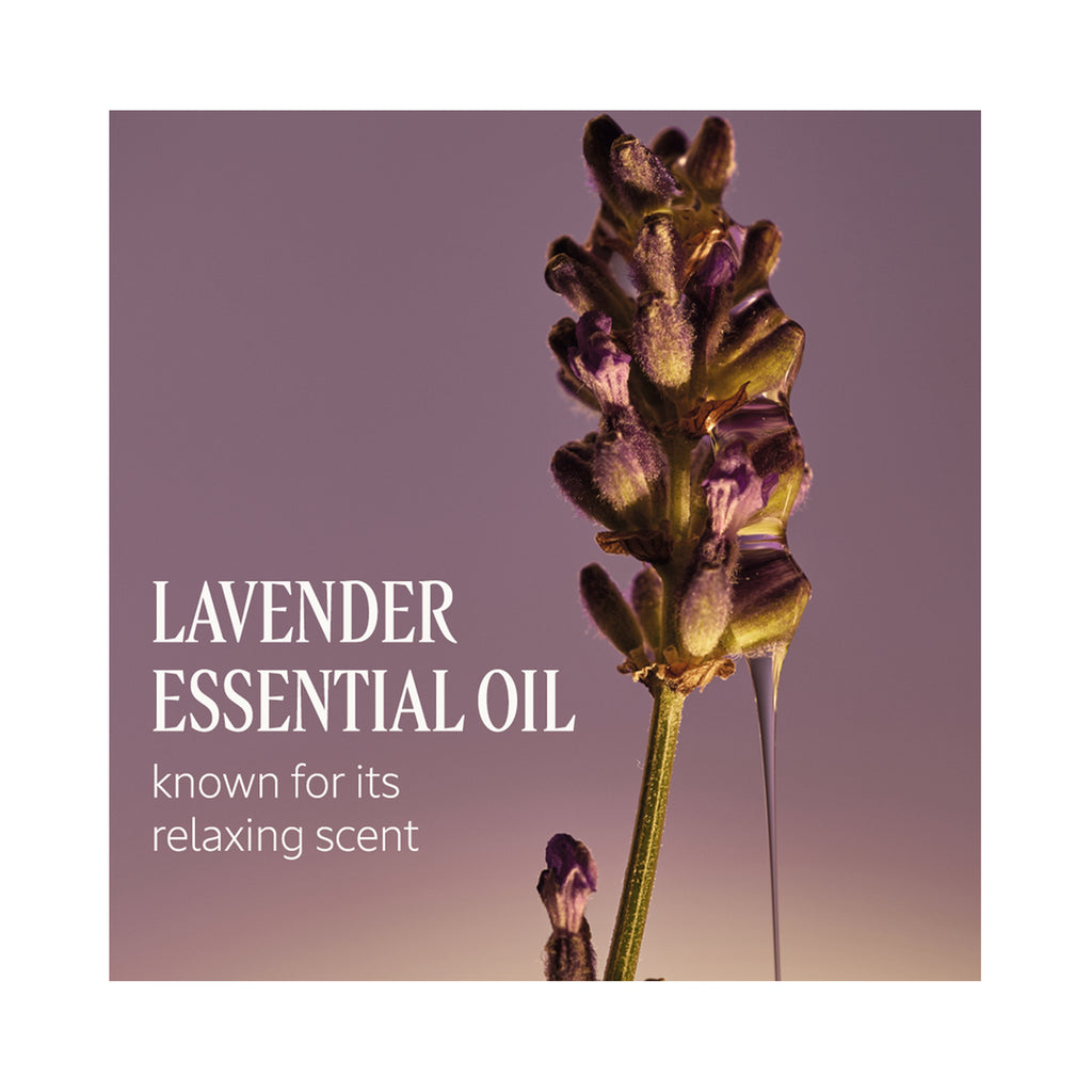 LOccitane Le Savon Liquid Hand Soap 16.9oz / Lavender thumbnail 3