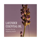 LOccitane Le Savon Liquid Hand Soap 16.9oz / Lavender