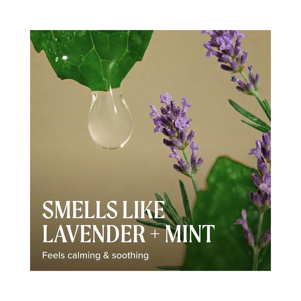 Paul Mitchell Tea Tree Lavender Mint Shampoo & Conditioner with text 'SMELLS LIKE LAVENDER + MINT' and 'Feels calming & soothing'. thumbnail 6