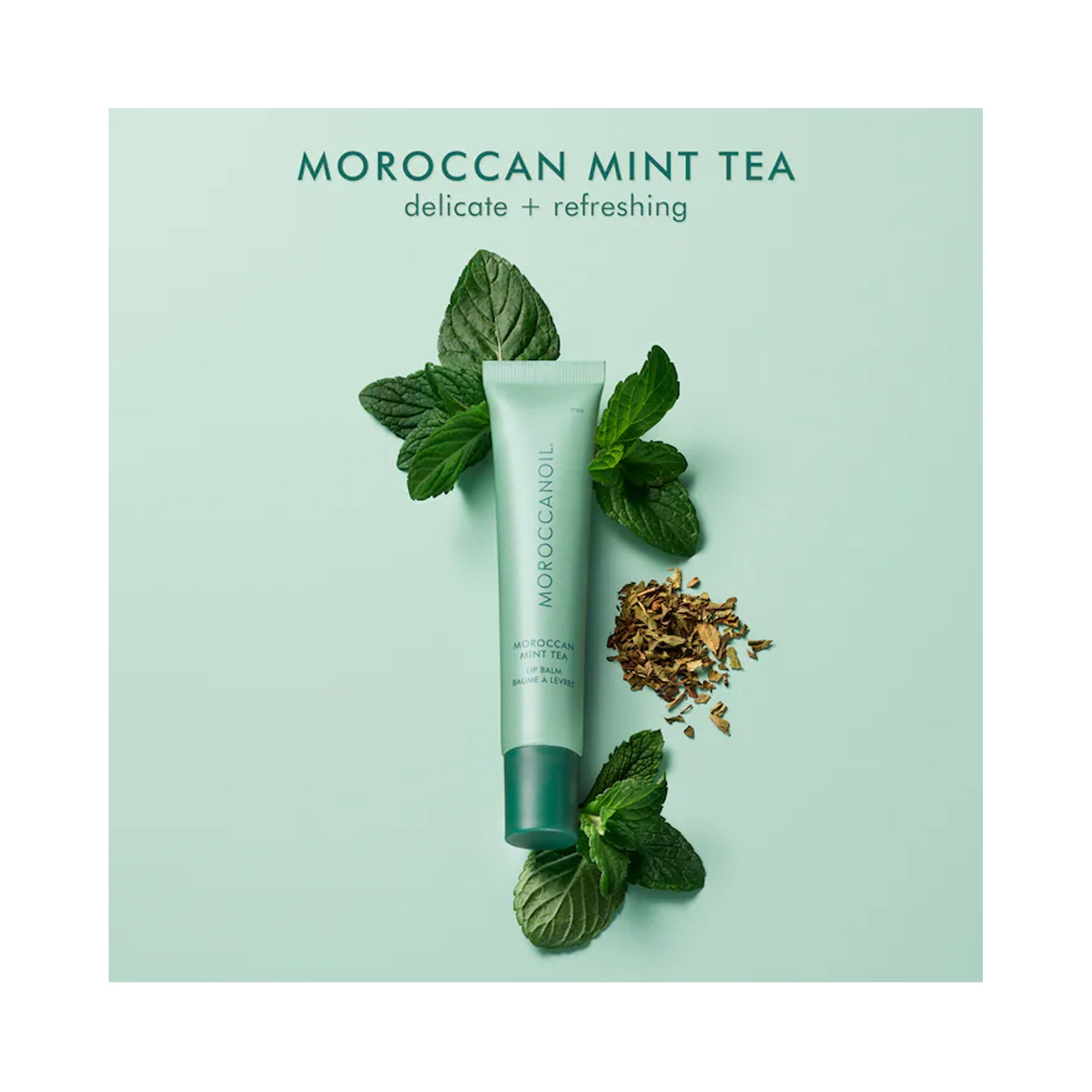 MoroccanOil Lip Balm / MOROCCAN MINT TEA