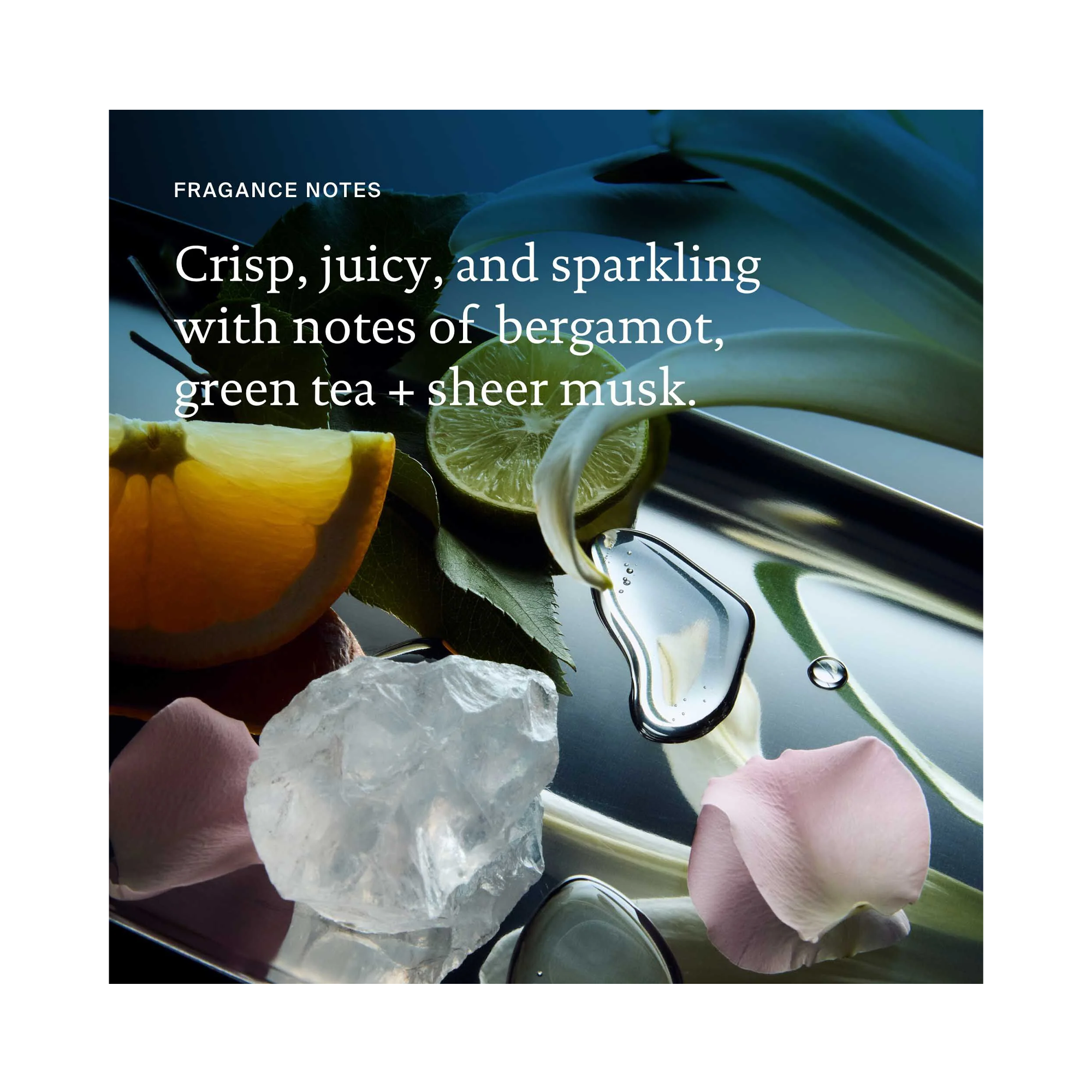 Living Proof Curl Shampoo