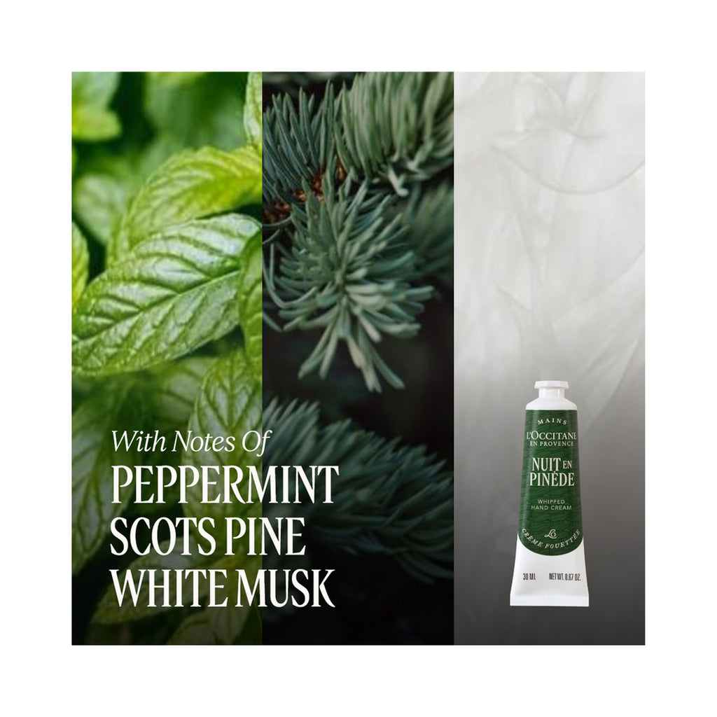 L'Occitane Hand Cream Trio - Holiday 2026 / SET thumbnail 4