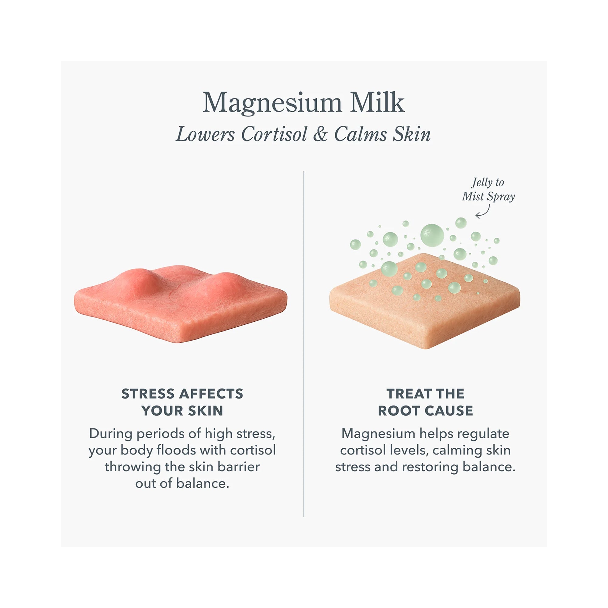 BEEKMAN 1802 Magnesium Milk / 2OZ