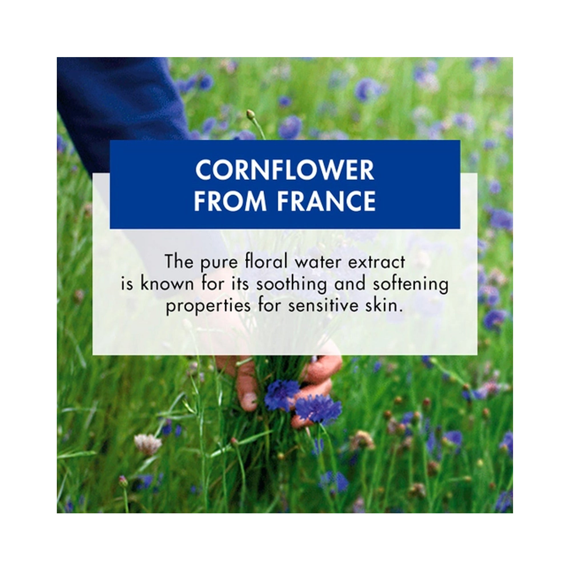 Klorane Eye Make-Up Remover with Soothing Cornflower / 6.7 oz