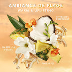 MorocanOil Hand Cream - Ambiance de Plage / 3.4OZ