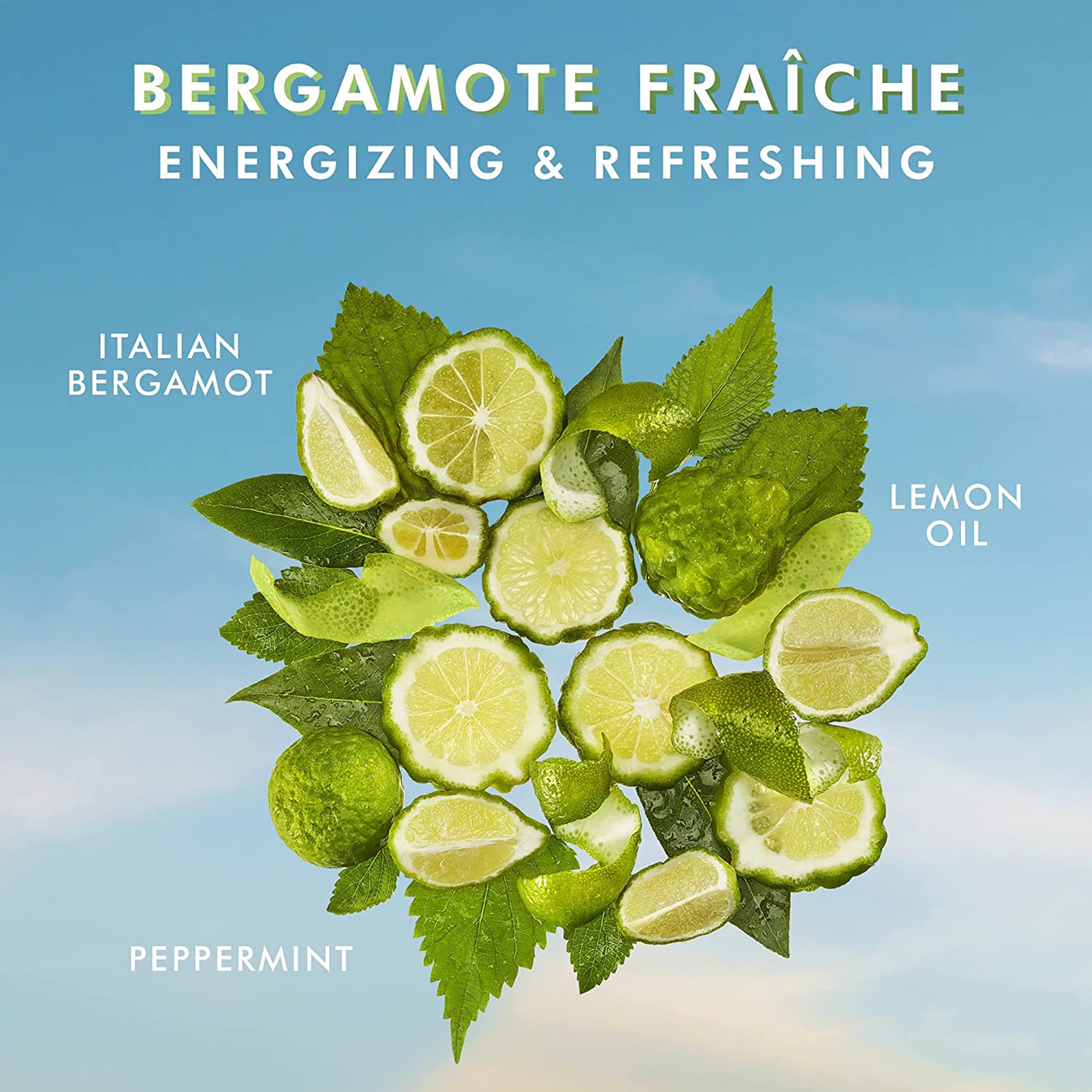 MorocanOil Hand Cream - Bergamote Fraiche / 3.4OZ