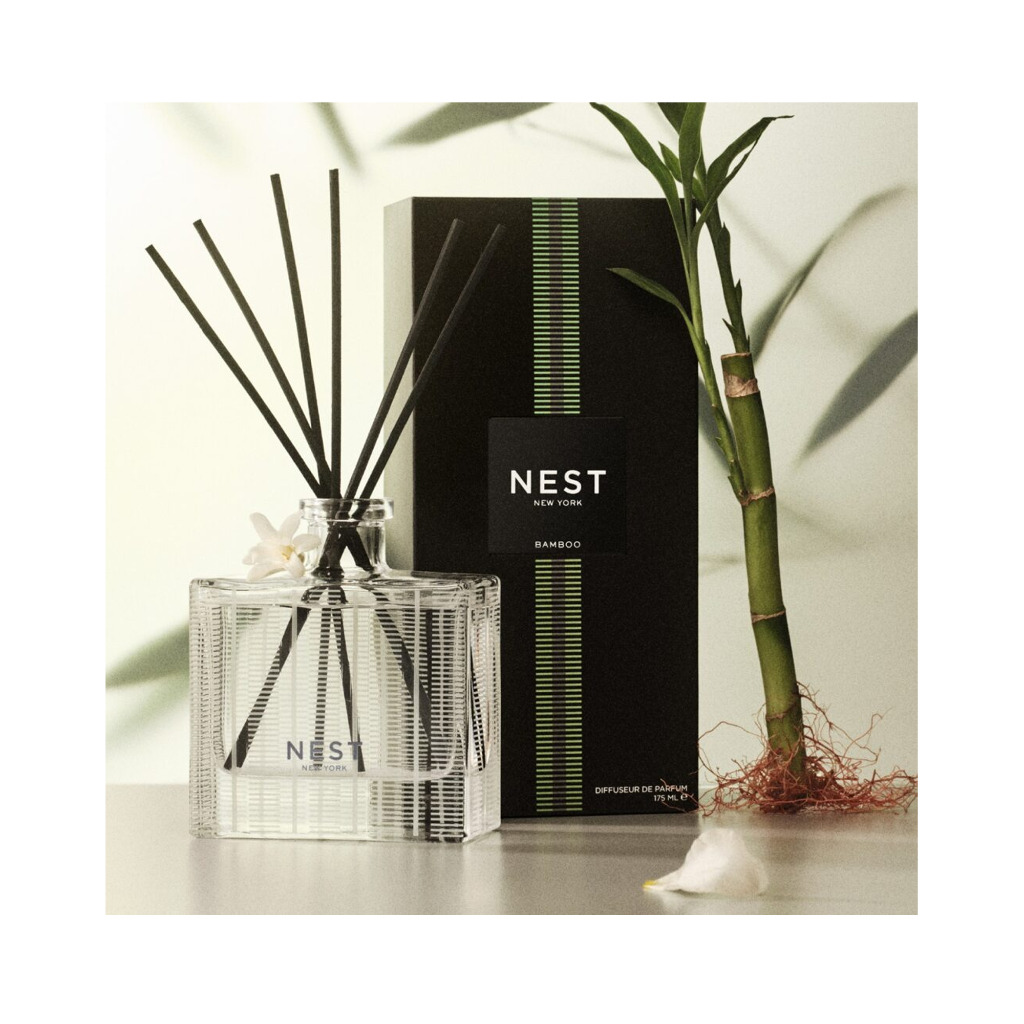 Nest Bamboo Reed Diffuser 5.9OZ / 5.9OZ