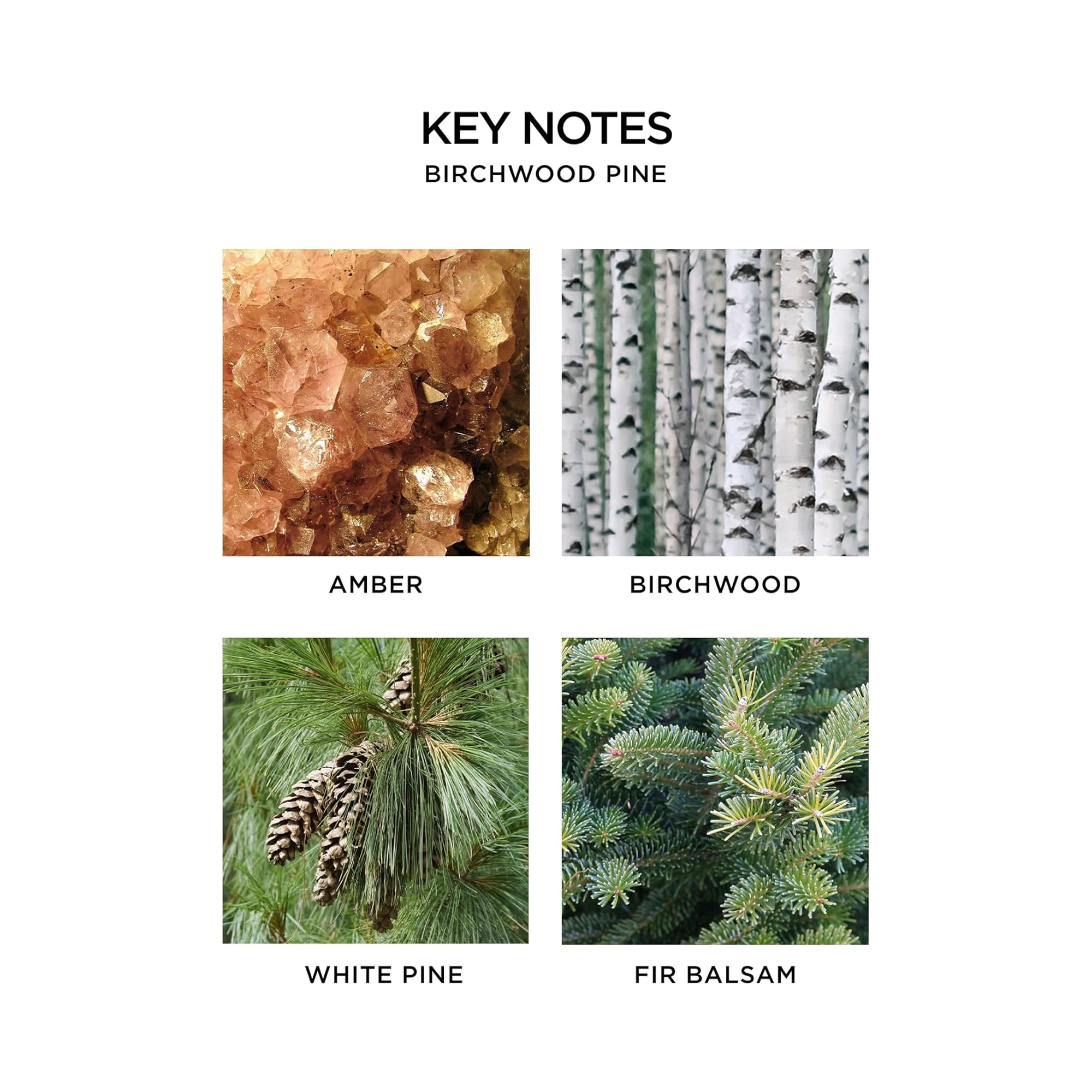 Nest Classic Candle Duo Set-Hol25