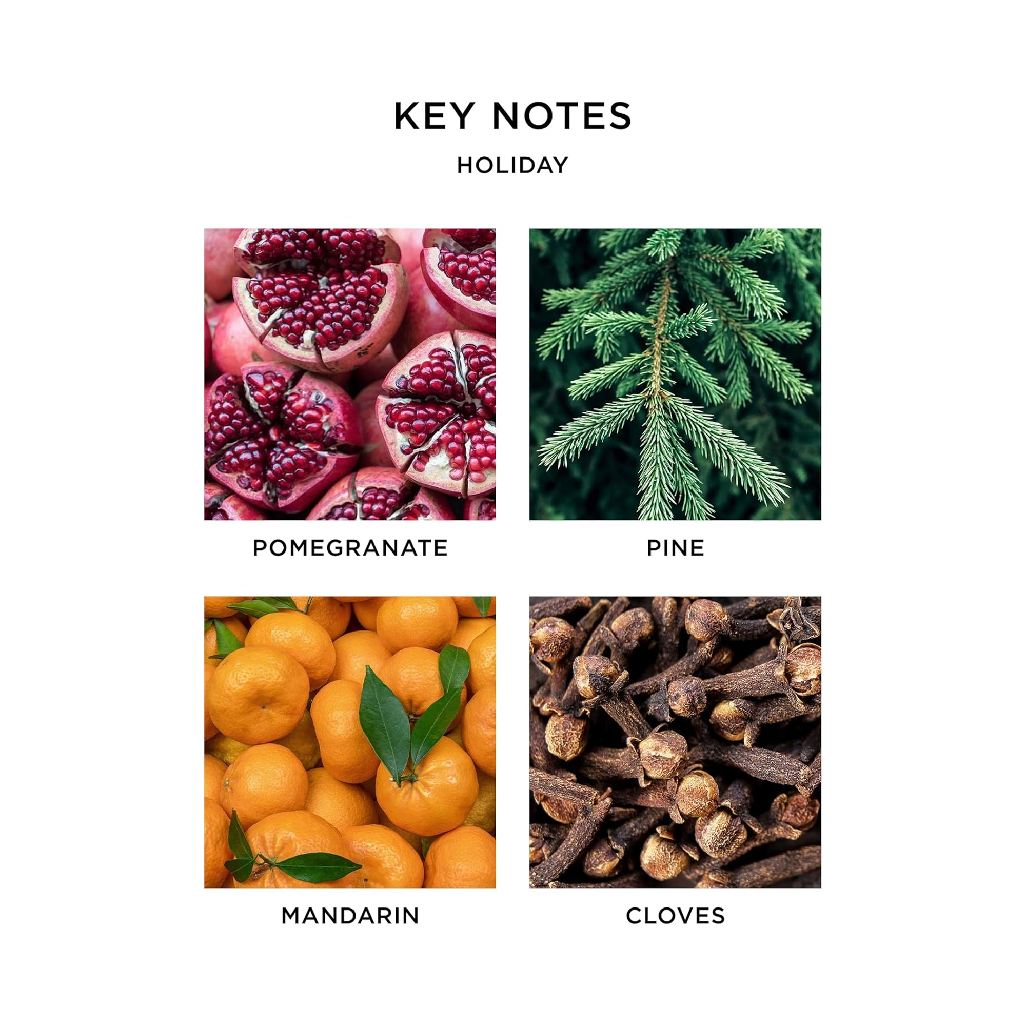 Nest Holiday Diffuser 5.9oz-HOL25