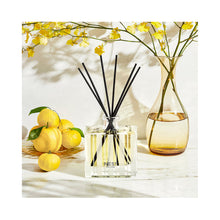 Nest Sunlit Yuzu & Neroli Reed Diffuser / 5.9OZ