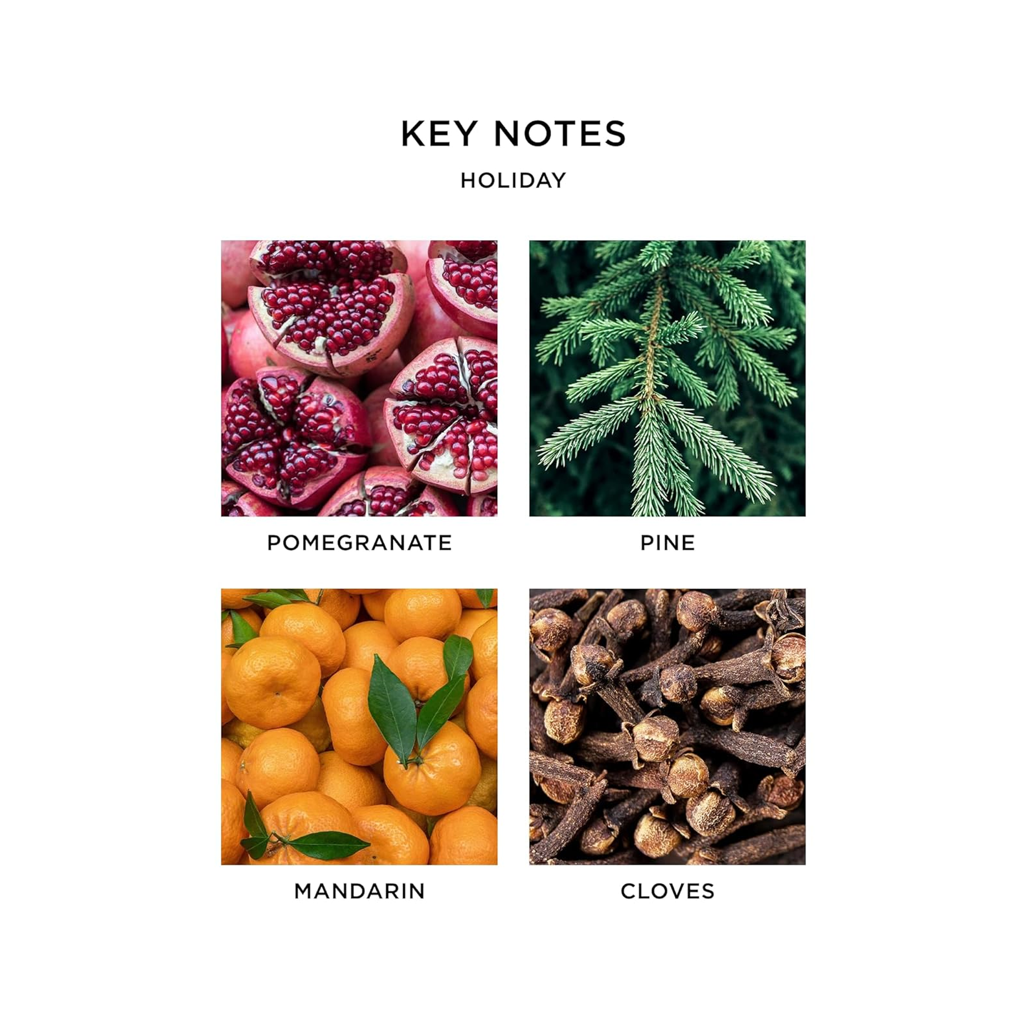 Nest Holiday Liquid Soap 10OZ-HOL25 / 10OZ